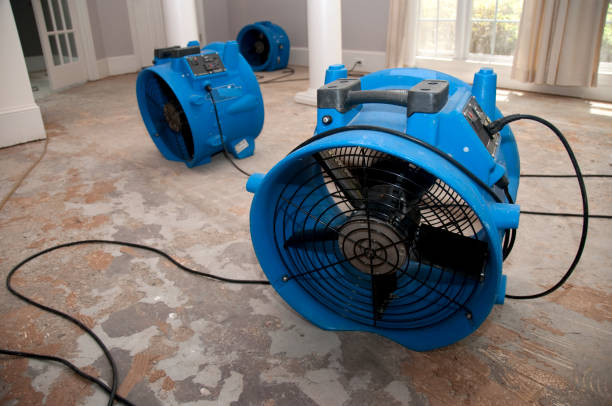  Irwin, PA Water damage restoration Pros