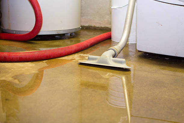 Best Water damage restoration near me  in Irwin, PA